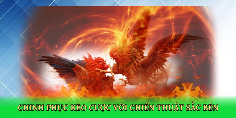 chinh-phuc-keo-cuoc-voi-chien-thuat-sac-ben-3