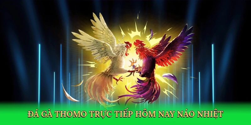 da-ga-thomo-truc-tiep-hom-nay-nao-nhiet-2