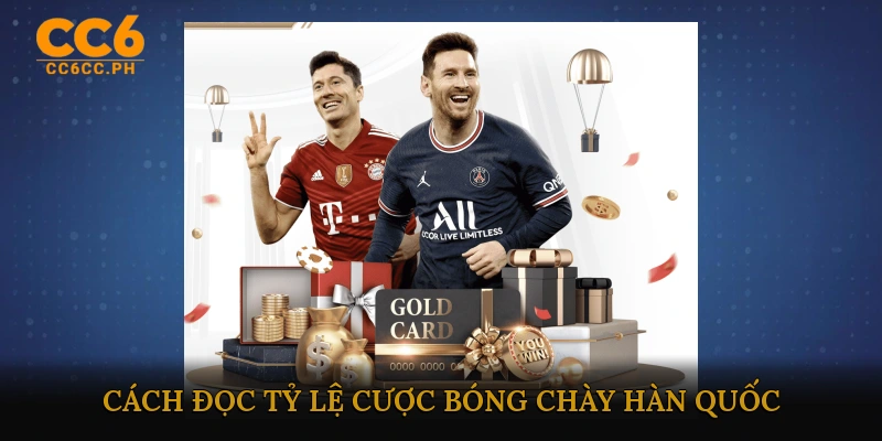 Cách đọc tỷ lệ cược bóng chày Hàn Quốc