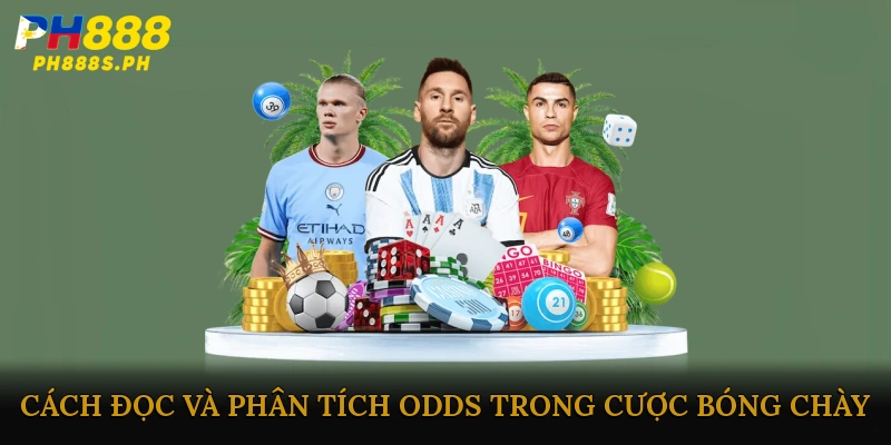 Cách đọc và phân tích odds trong cược bóng chày Nhật Bản