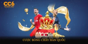 cược bóng chày Hàn Quốc