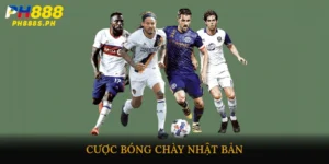 Cược bóng chày Nhật Bản