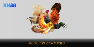 Đá gà live Campuchia