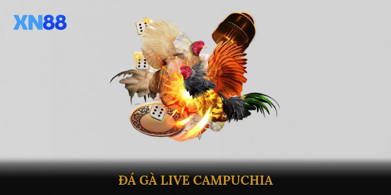 Đá gà live Campuchia