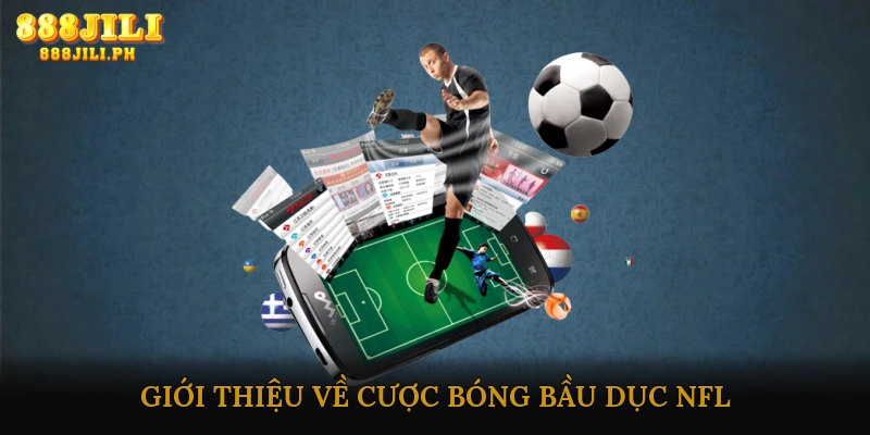 Giới Thiệu Về Cược Bóng Bầu Dục NFL