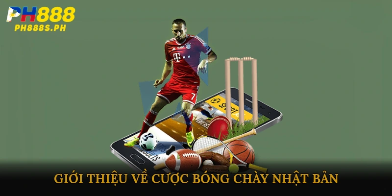 Giới thiệu về cược bóng chày Nhật Bản