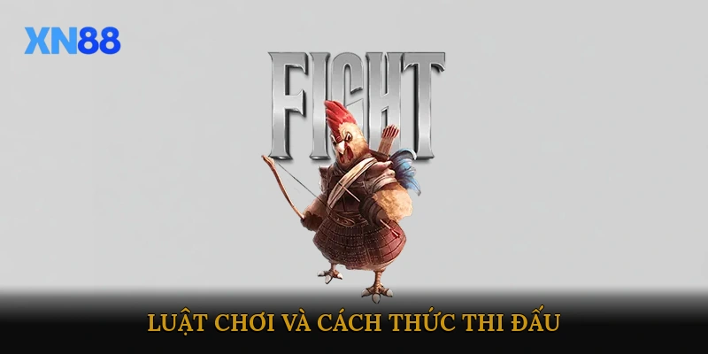 Luật chơi và cách thức thi đấu