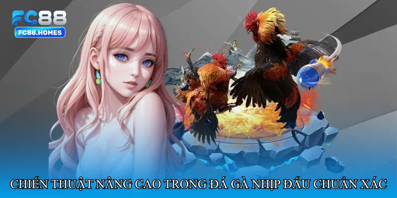 Chiến thuật nâng cao trong Đá gà nhịp đấu chuẩn xác