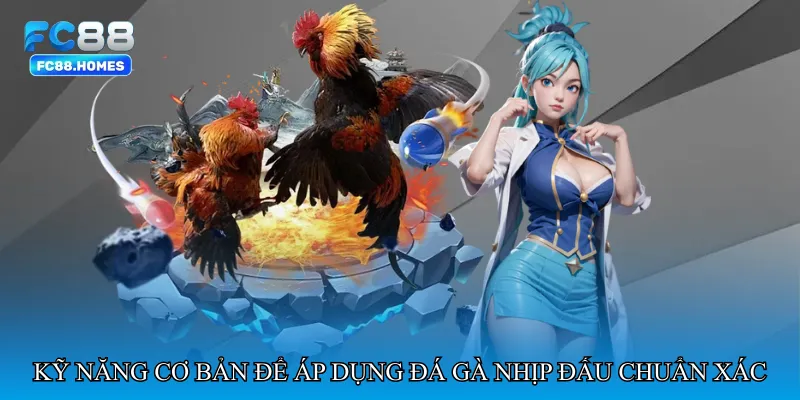 Kỹ năng cơ bản để áp dụng Đá gà nhịp đấu chuẩn xác