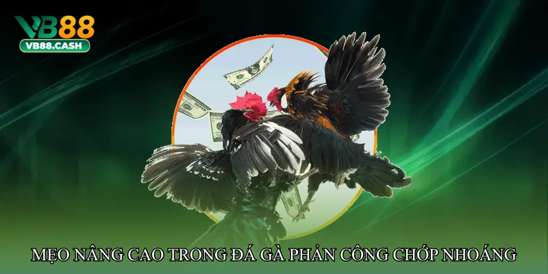 Mẹo nâng cao trong Đá gà phản công chớp nhoáng