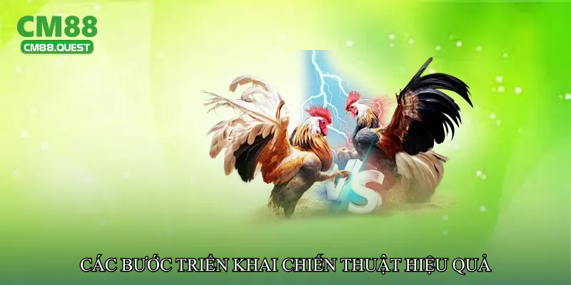Các bước triển khai chiến thuật hiệu quả