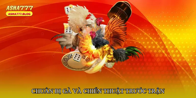 Chuẩn bị gà và chiến thuật trước trận