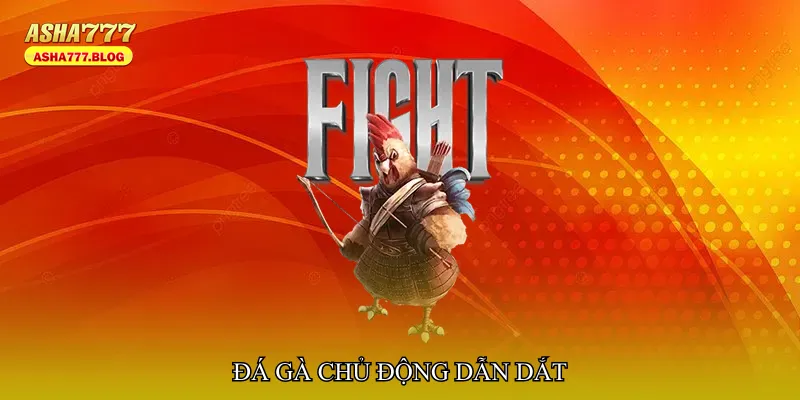 Đá gà chủ động dẫn dắt