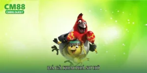 Đá gà khai phá sơ hở