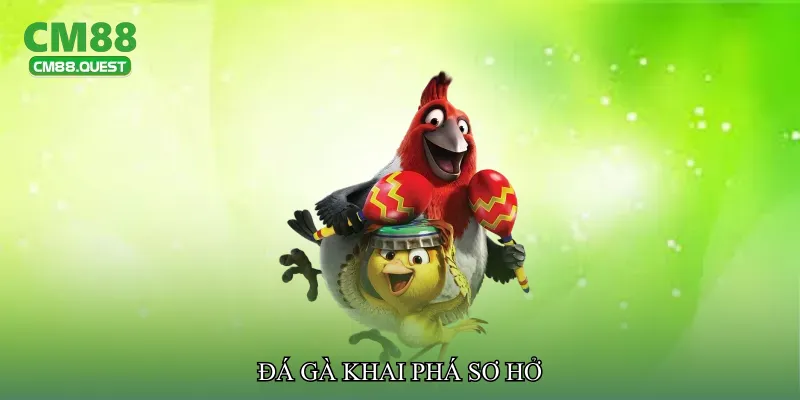 Đá gà khai phá sơ hở