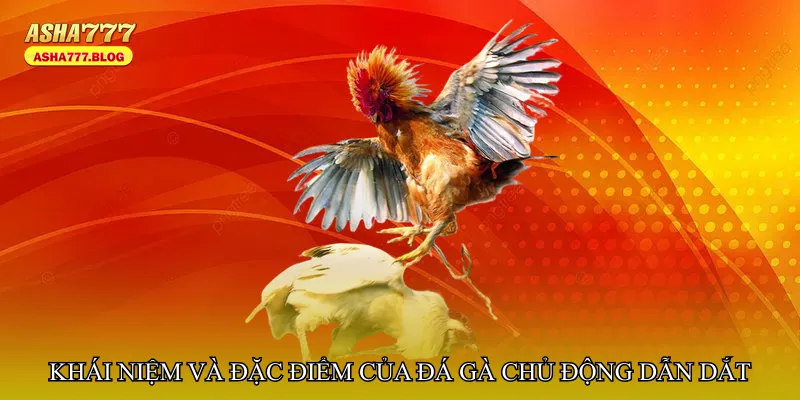 Khái niệm và đặc điểm của Đá gà chủ động dẫn dắt