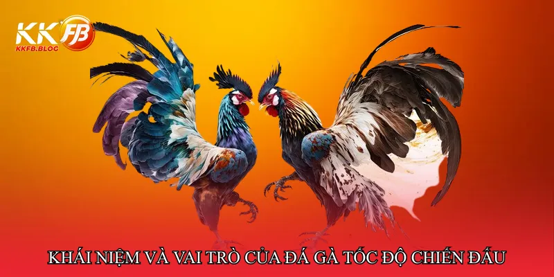 Khái niệm và vai trò của đá gà tốc độ chiến đấu