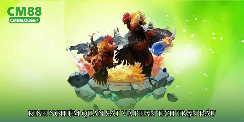 Kinh nghiệm quan sát và phân tích trận đấu