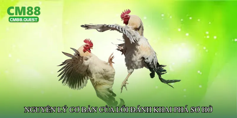 Nguyên lý cơ bản của lối đánh khai phá sơ hở